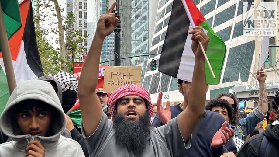 When the pro-Palestine crowd shows up with their usual clichés, one of them is a…